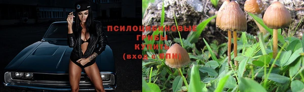 дживик Нея