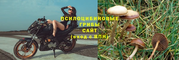трава Надым