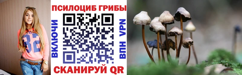 Галлюциногенные грибы Cubensis  Покачи 
